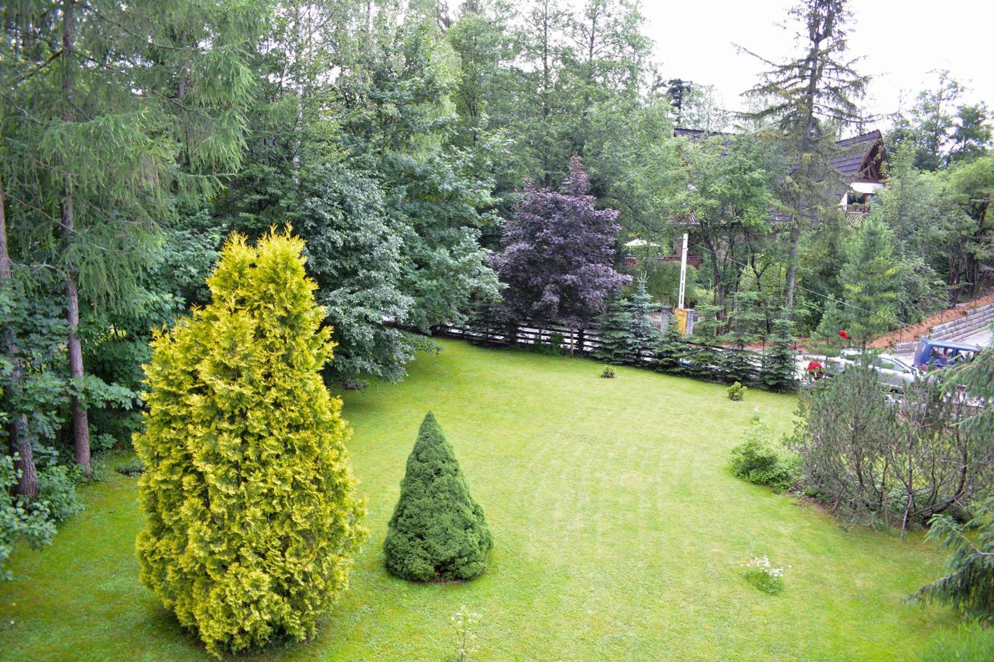 Popielica * Zakopane